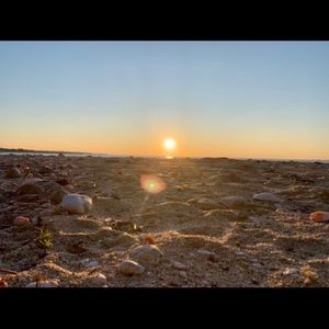 Meet your Posher, Francisca